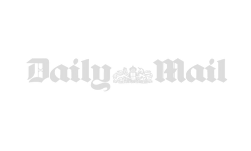 Daily Mail Logo